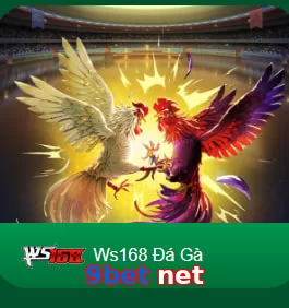 9bet net